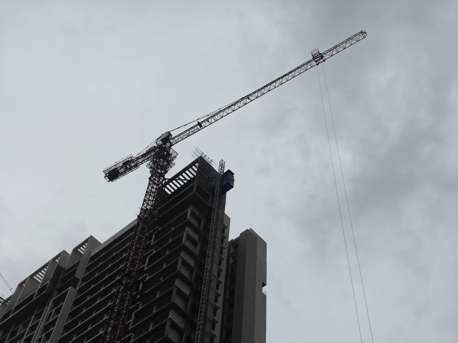 Potain Tower Crane on Rent